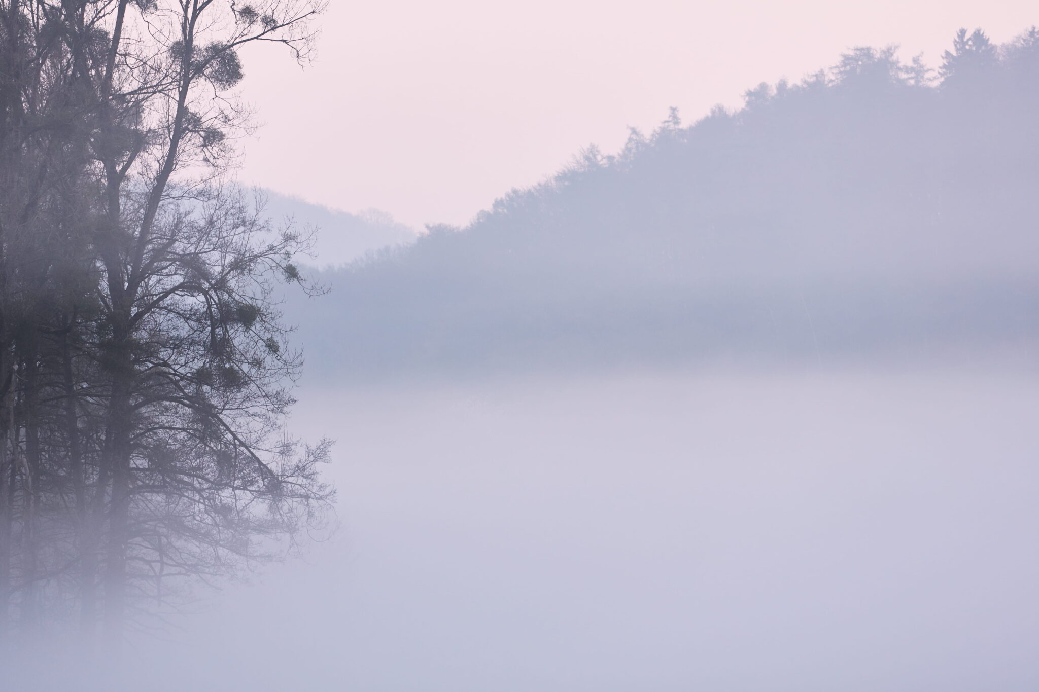 morning-mist-photo
